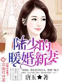 陆少的暖婚新妻全文免费阅读陆