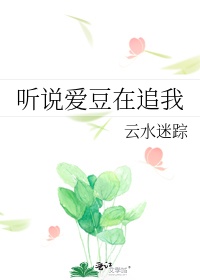 听说爱豆在追我17