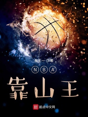 nba靠山王起点中文网