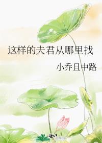 这样的夫君从哪里找免费