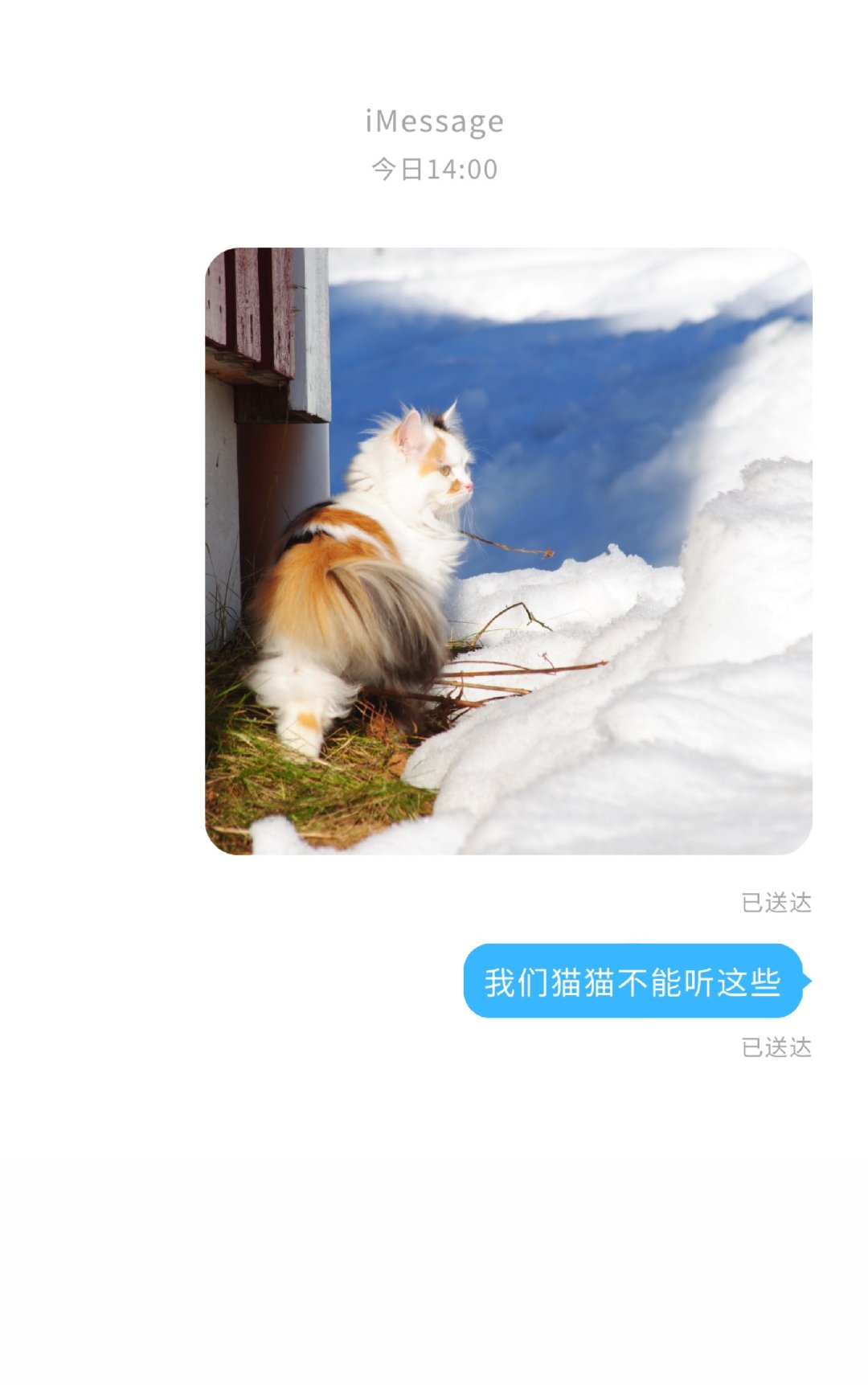 我们猫猫不能听这些网盘