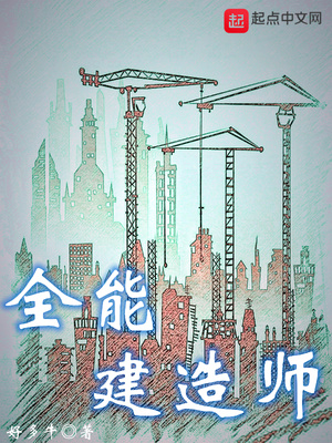 全能建造师小说