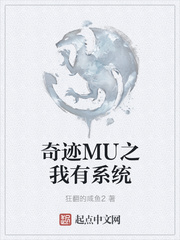 奇迹mu之我有系统免费下载