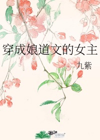 穿成娘道文的女主晋江