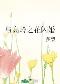 《与高岭之花闪婚》